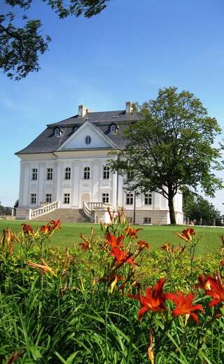 Фото Отель Hotel Pałac Borynia г. Ястшембе-Здруй